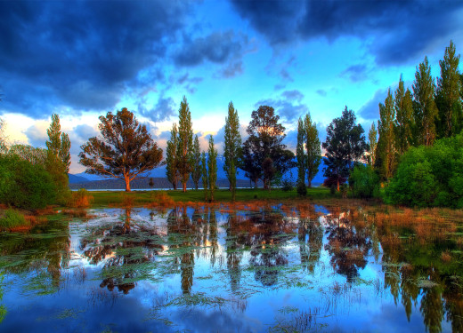 �1765434 �������(a): ����������:2048x1474